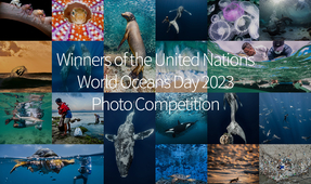 Announcing the Winners of the Tenth United Nations World Oceans Day Photo Contest