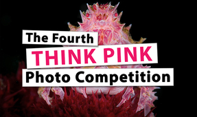 Announcing the Fourth Think Pink Photo Competition