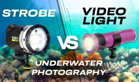 Backscatter Discusses Strobes vs Video Lights for Underwater Photography