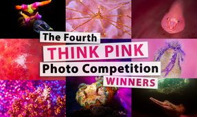 Announcing the Winners of the Fourth Think Pink Photo Competition
