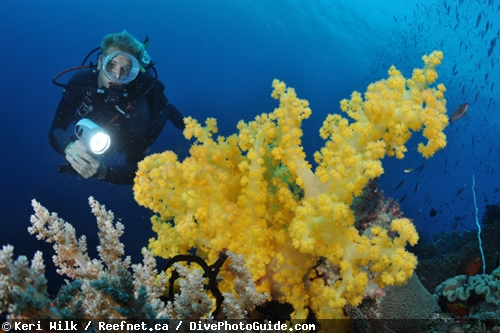 Keri Wilk self-modeling underwater photograph