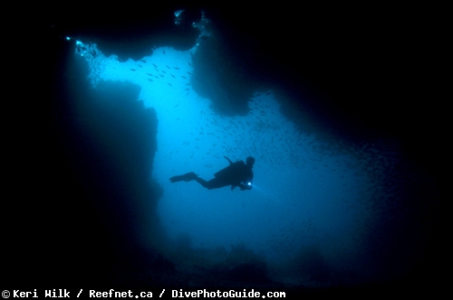 Keri Wilk self-modeling underwater photograph