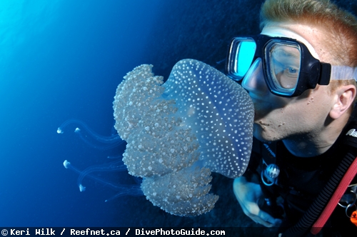 Keri Wilk kissing a jellyfish