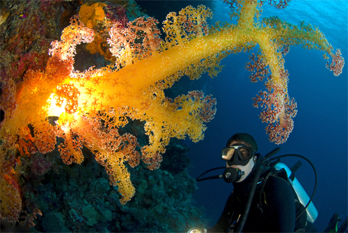 Underwater backlighting