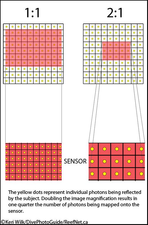 Bellows effect