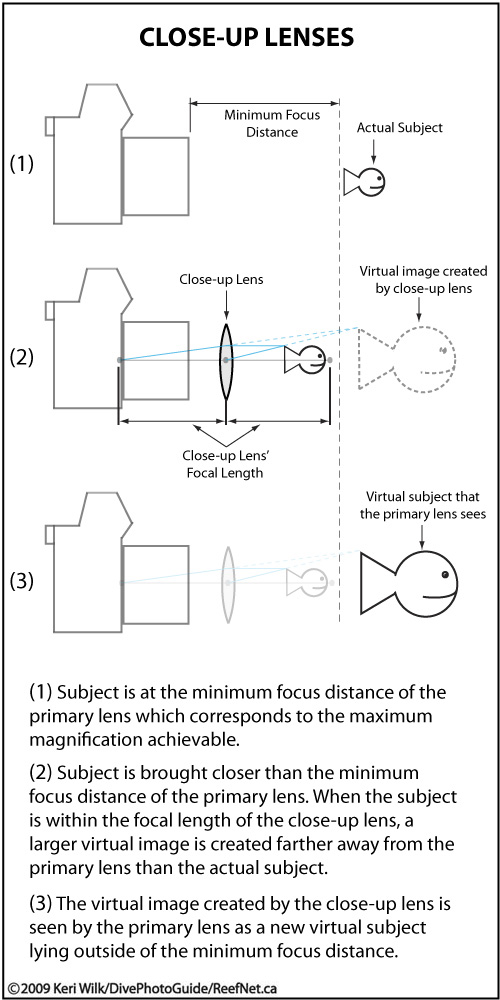 Close Up Lens Chart - Super Macro Underwater Photography Guide