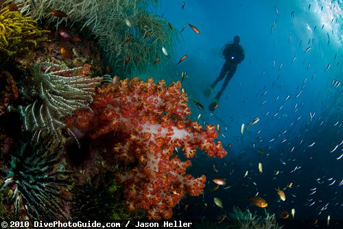 Underwater model photograph