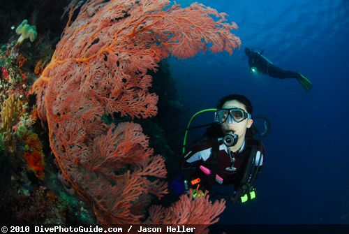 Underwater model photography