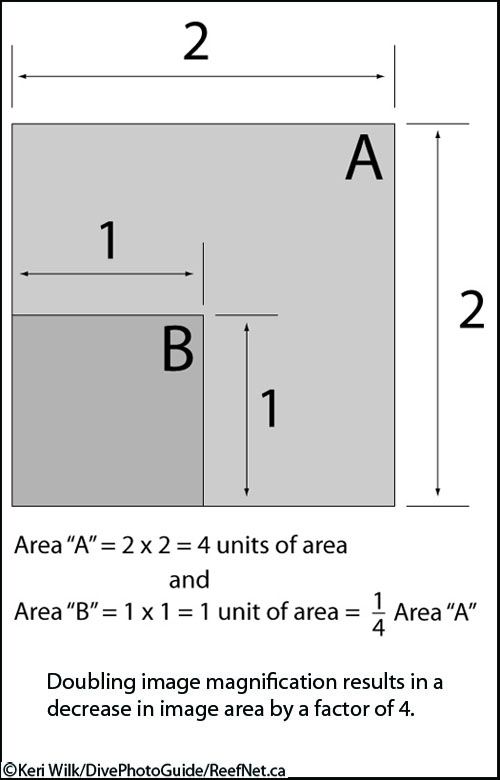 Bellows effect