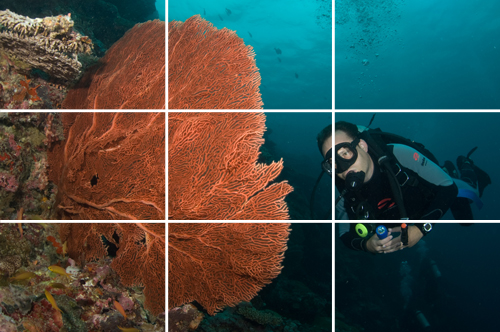 rule of thirds underwater photograph by Matt Weiss