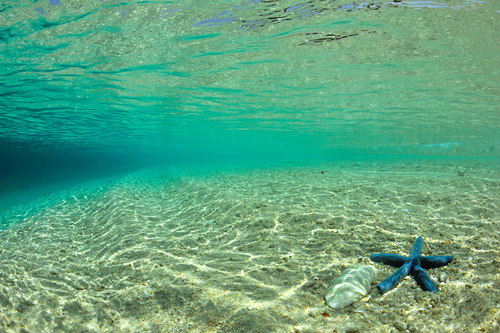 Underwater ambient light