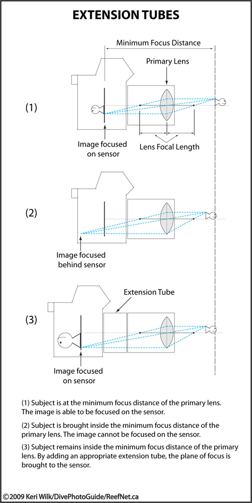 Super Macro - Extension Tubes